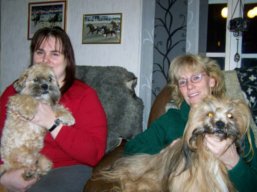 YANGADOO'S MONTOYA, Lhasa Apso