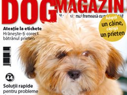 NICOLLE Ivepet, Lhasa Apso