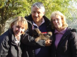 Vrh M, šteniatka Lhasa Apso, Lhasa Apso