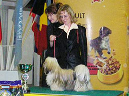https://www.lhasaapso-ivepet.sk/preview/img_100.jpg