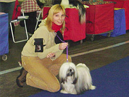 https://www.lhasaapso-ivepet.sk/preview/img_120.jpg