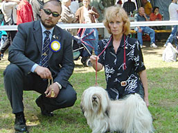 https://www.lhasaapso-ivepet.sk/preview/img_122.jpg