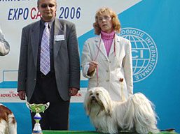 https://www.lhasaapso-ivepet.sk/preview/img_124.jpg
