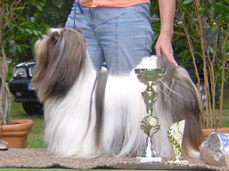 https://www.lhasaapso-ivepet.sk/preview/img_145.jpg
