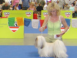 https://www.lhasaapso-ivepet.sk/preview/img_146.jpg