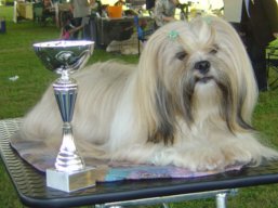https://www.lhasaapso-ivepet.sk/preview/vyst_534.jpg