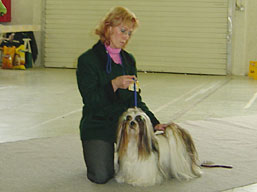 https://www.lhasaapso-ivepet.sk/preview/vyst_66.jpg
