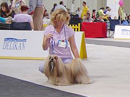 https://www.lhasaapso-ivepet.sk/preview/img_89.jpg